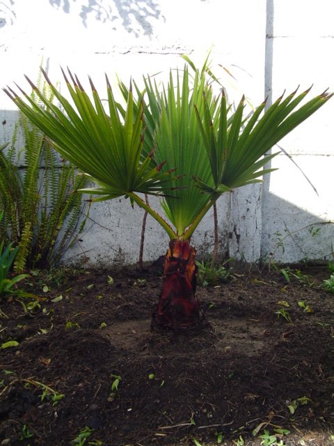 Dsc05847.jpg