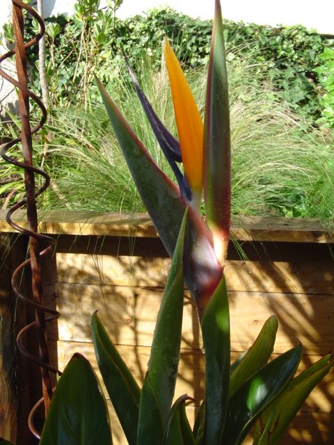 Dsc05852.jpg