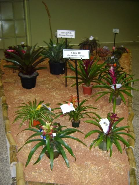 DSC05876.jpg
