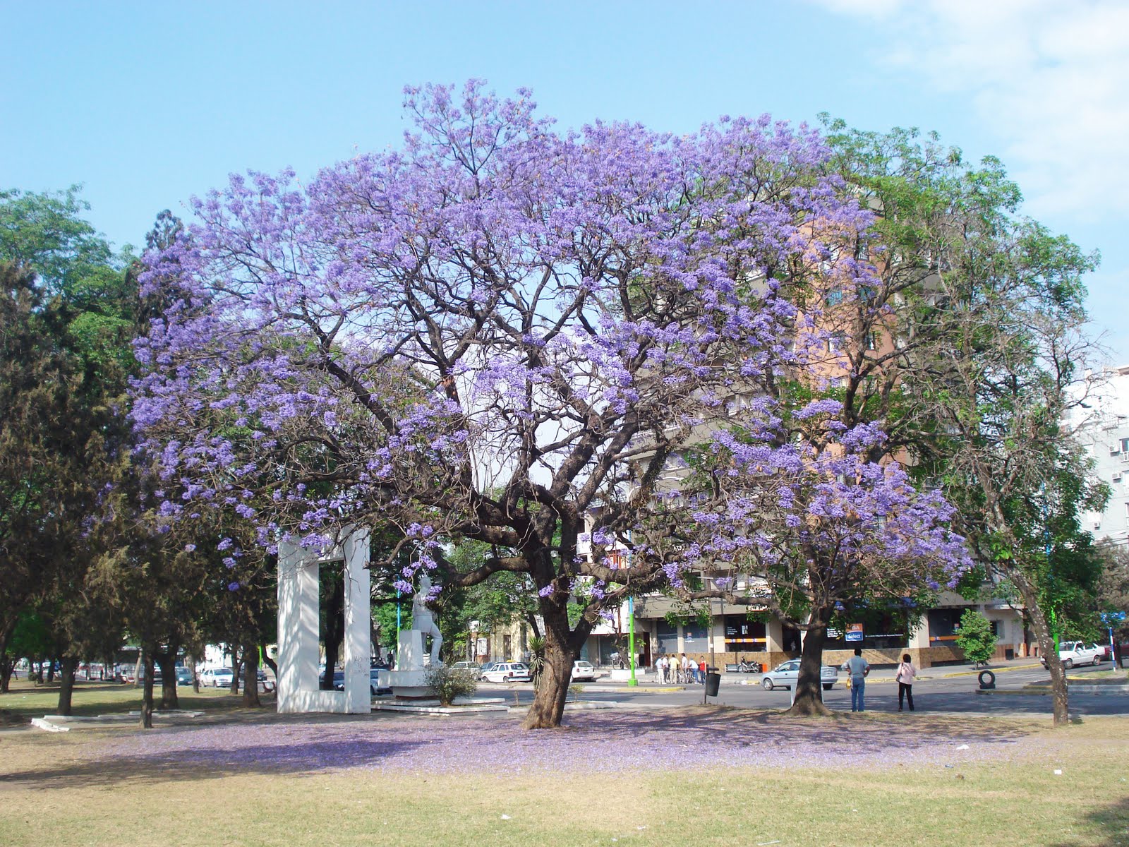 DSC05911.JPG