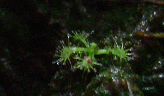 DSC05928_zpsb49f616c.jpg