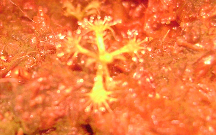 DSC05946_zps68cbee79.jpg