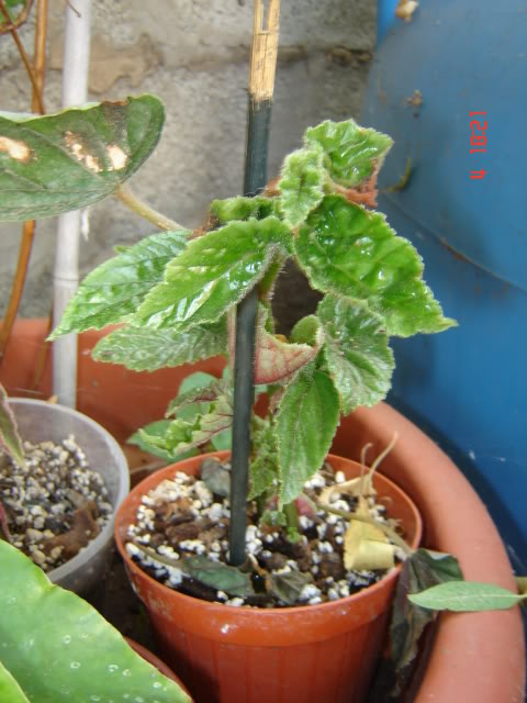 DSC06051.jpg