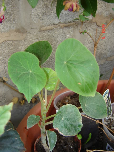 DSC06055.jpg