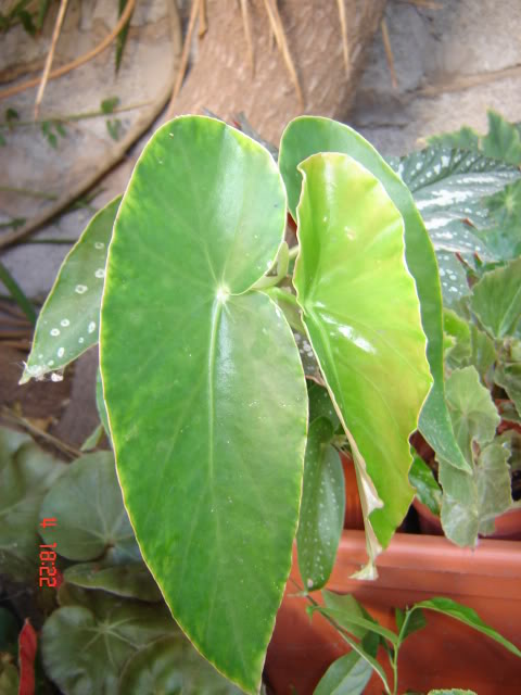 DSC06059.jpg