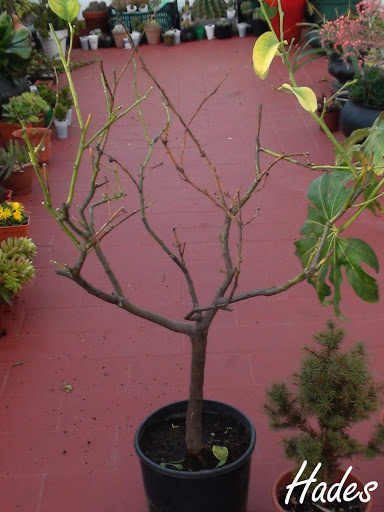 DSC06092.jpg