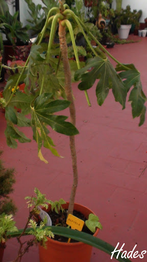 DSC06097.jpg