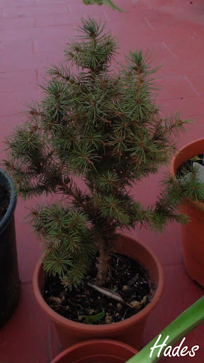 DSC06103.jpg