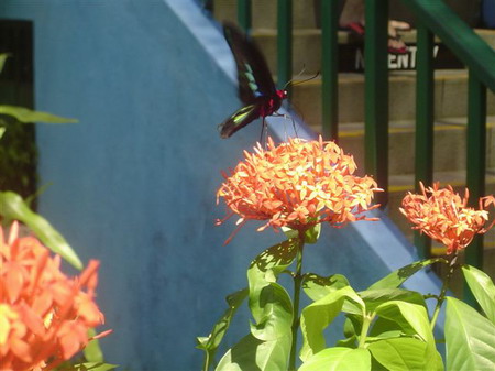 DSC06106_resize.JPG