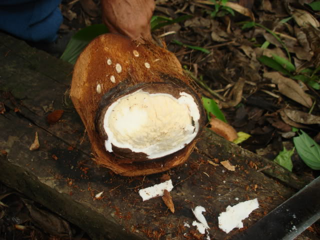 DSC06273.jpg