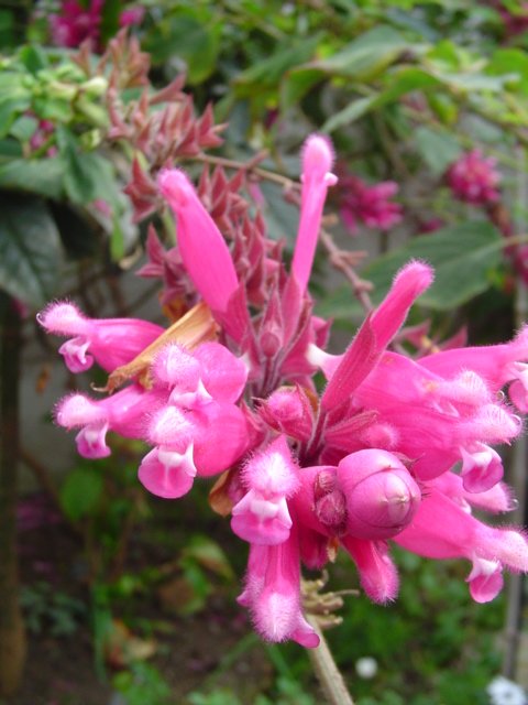 Dsc06410.jpg