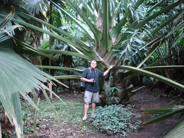 DSC06437.jpg