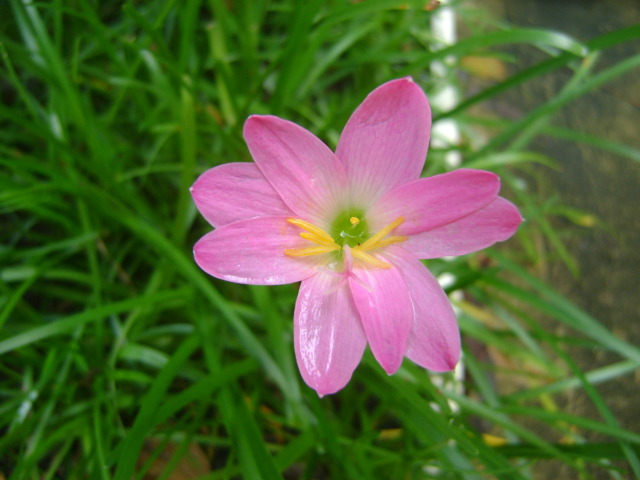 DSC06476.jpg