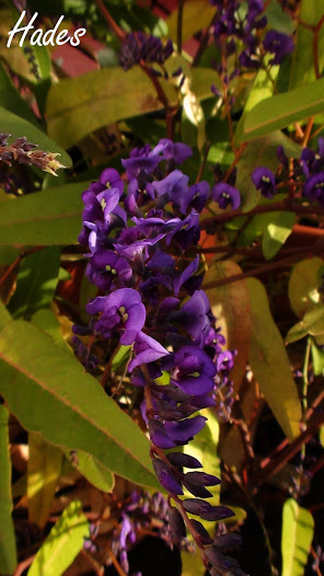 DSC06487.jpg