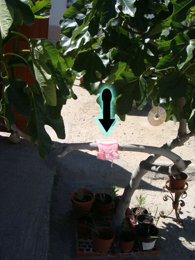 DSC06635.jpg