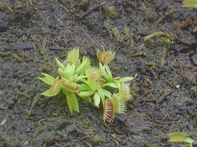 DSC06643.jpg