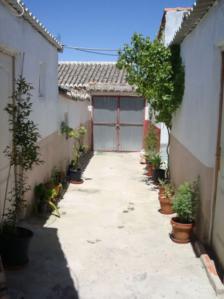 DSC06648.jpg
