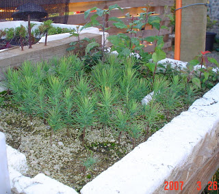 DSC06664.jpg