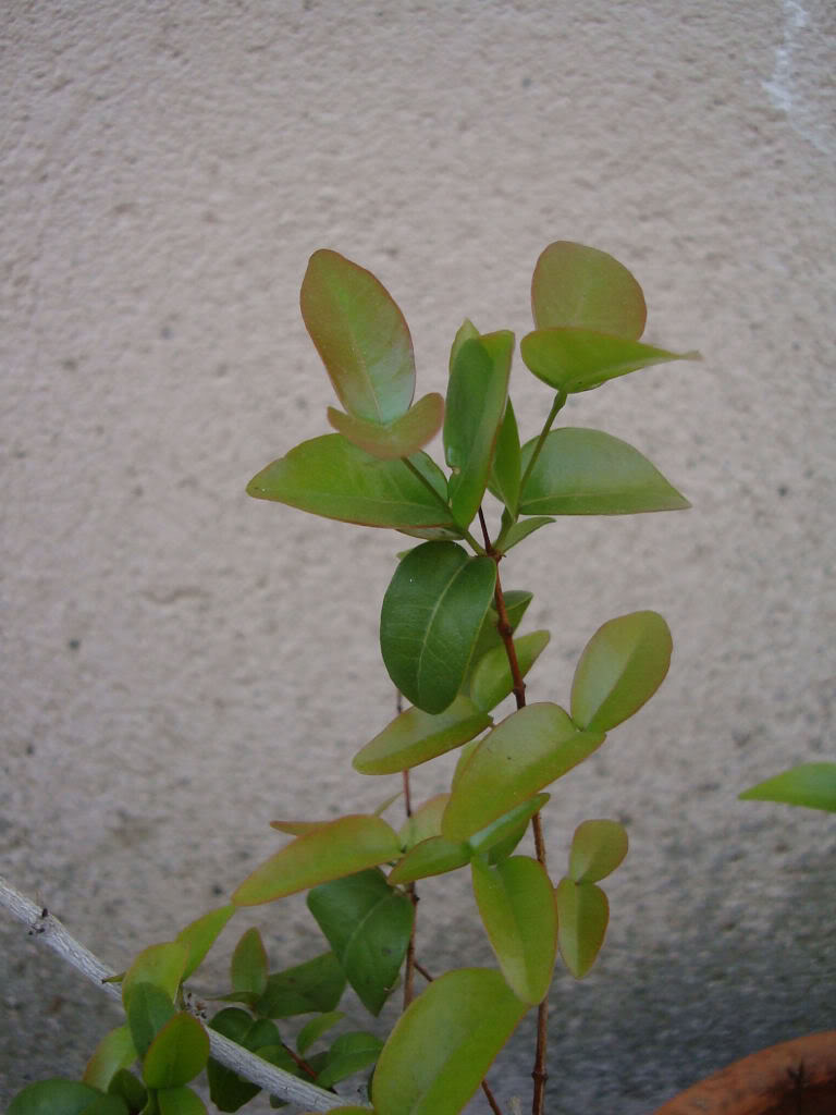 DSC06667.jpg