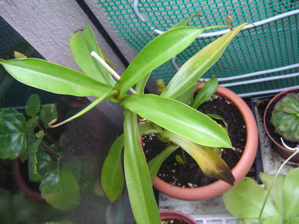 DSC06755.jpg