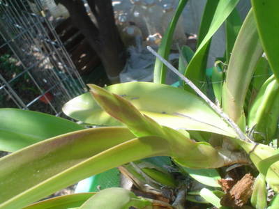 DSC06776.JPG