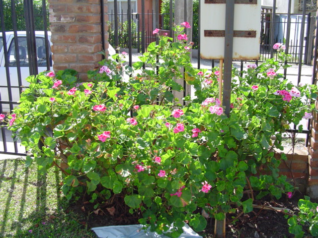 Dsc06806.jpg