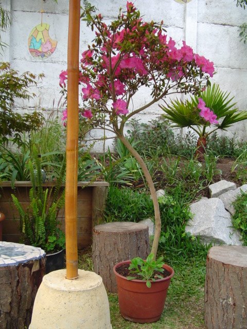 Dsc06839.jpg