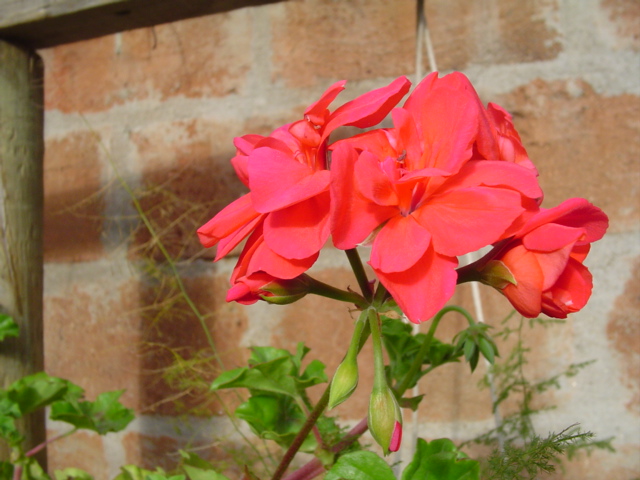 Dsc07063.jpg