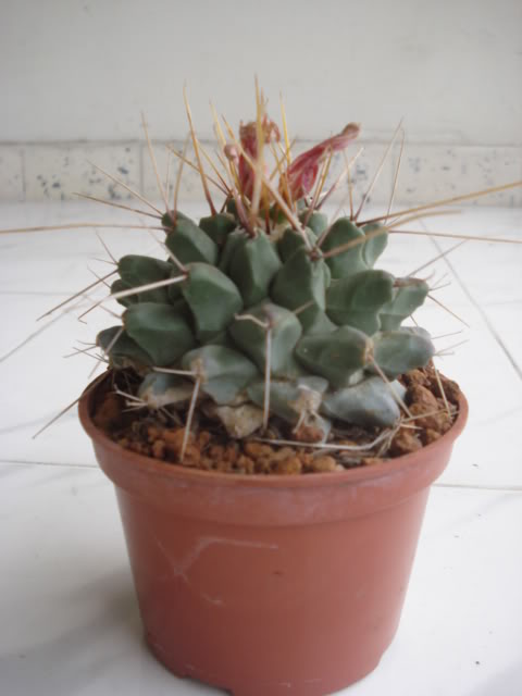 DSC07099.jpg