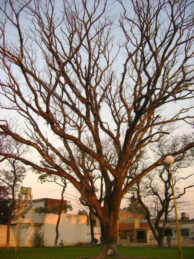 DSC07120.jpg
