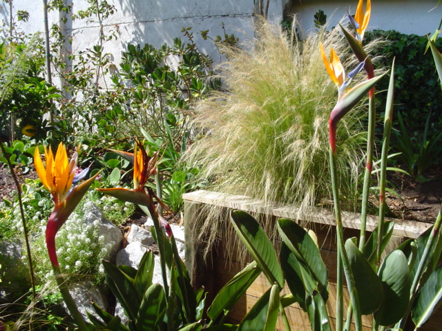 Dsc07120.jpg