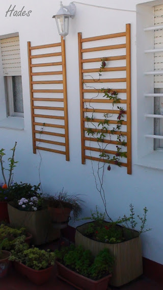 DSC07304+copia.jpg