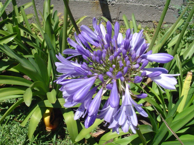 DSC07374.JPG