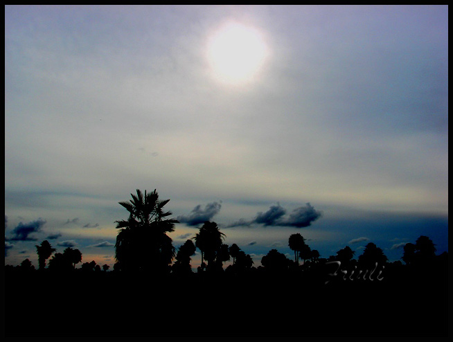 DSC07378_copiar.jpg