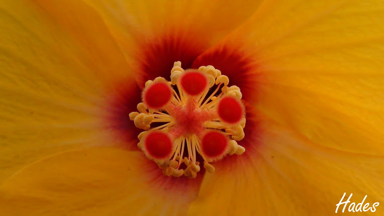 DSC07419+copia.jpg