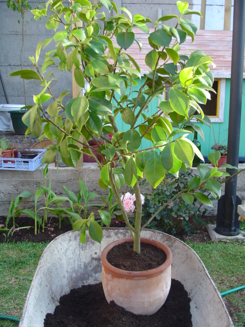 Dsc07597.jpg