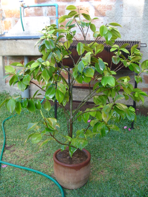 Dsc07599.jpg