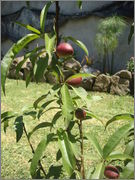 DSC07768.jpg