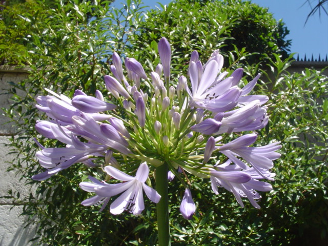 DSC07911.JPG