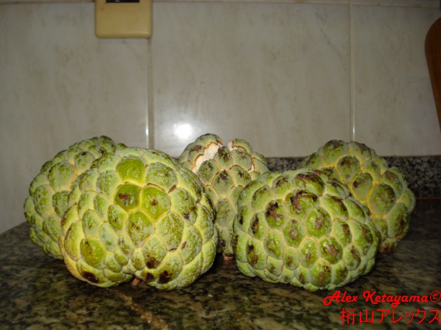 DSC07937.JPG