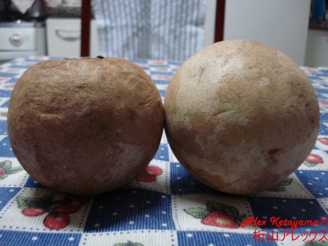DSC07947.JPG