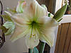 DSC08125.jpg