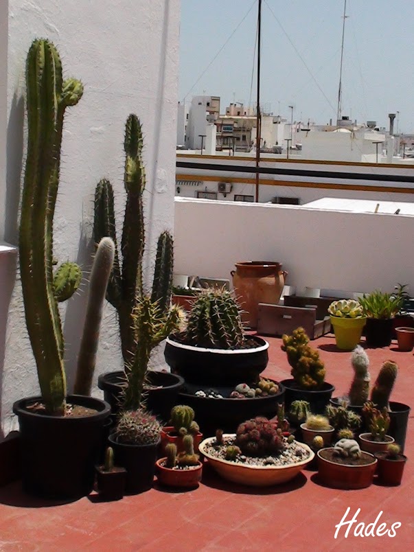 DSC08154+copia.jpg