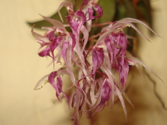 DSC08178.jpg