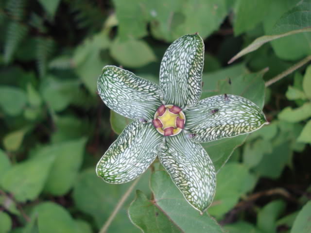 DSC08182.jpg