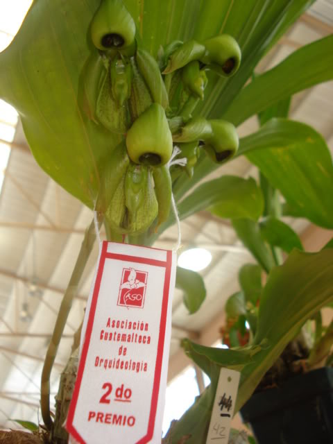 DSC08184.jpg