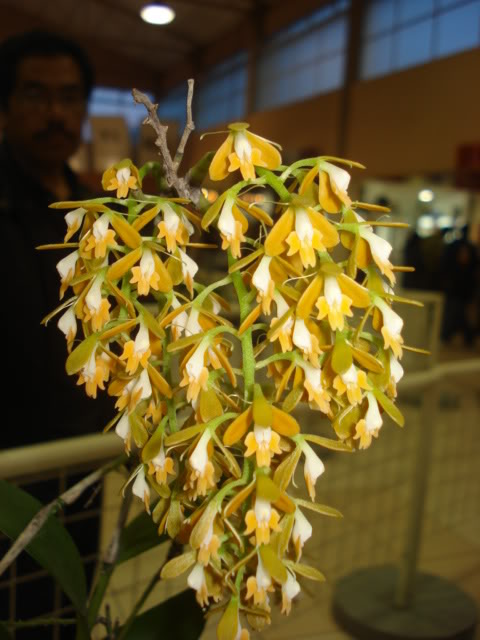 DSC08185.jpg