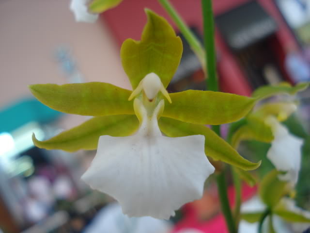 DSC08192.jpg