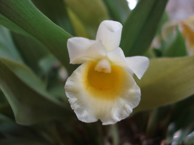 DSC08200.jpg
