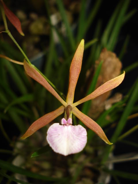 DSC08202.jpg